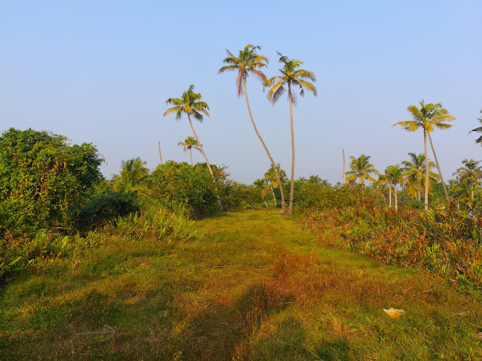 Kakkathuruthu Island Alappuzha Transpotation