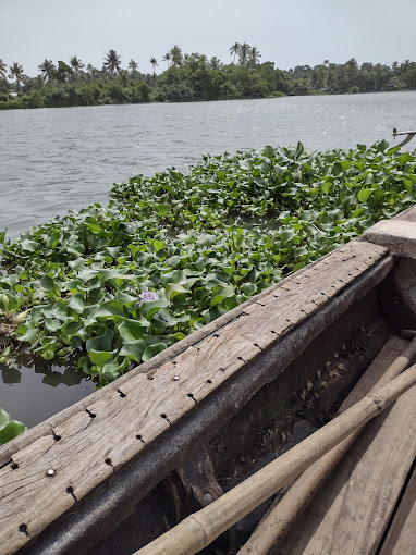 Kakkathuruthu Island Alappuzha Entry Details