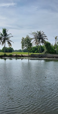 Attractions and Activities in Alappuzha