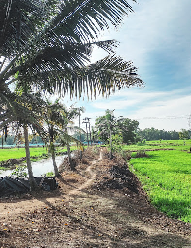 images of Alappuzha