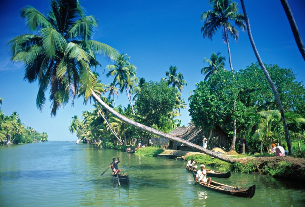 Kayamkulam Estuary