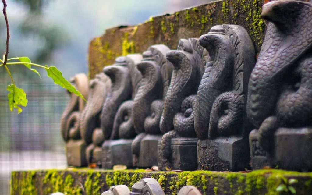 Mannarasala Sree Nagaraja Temple, Alappuzha Images