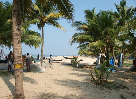 Marari Beach Alappuzha activities