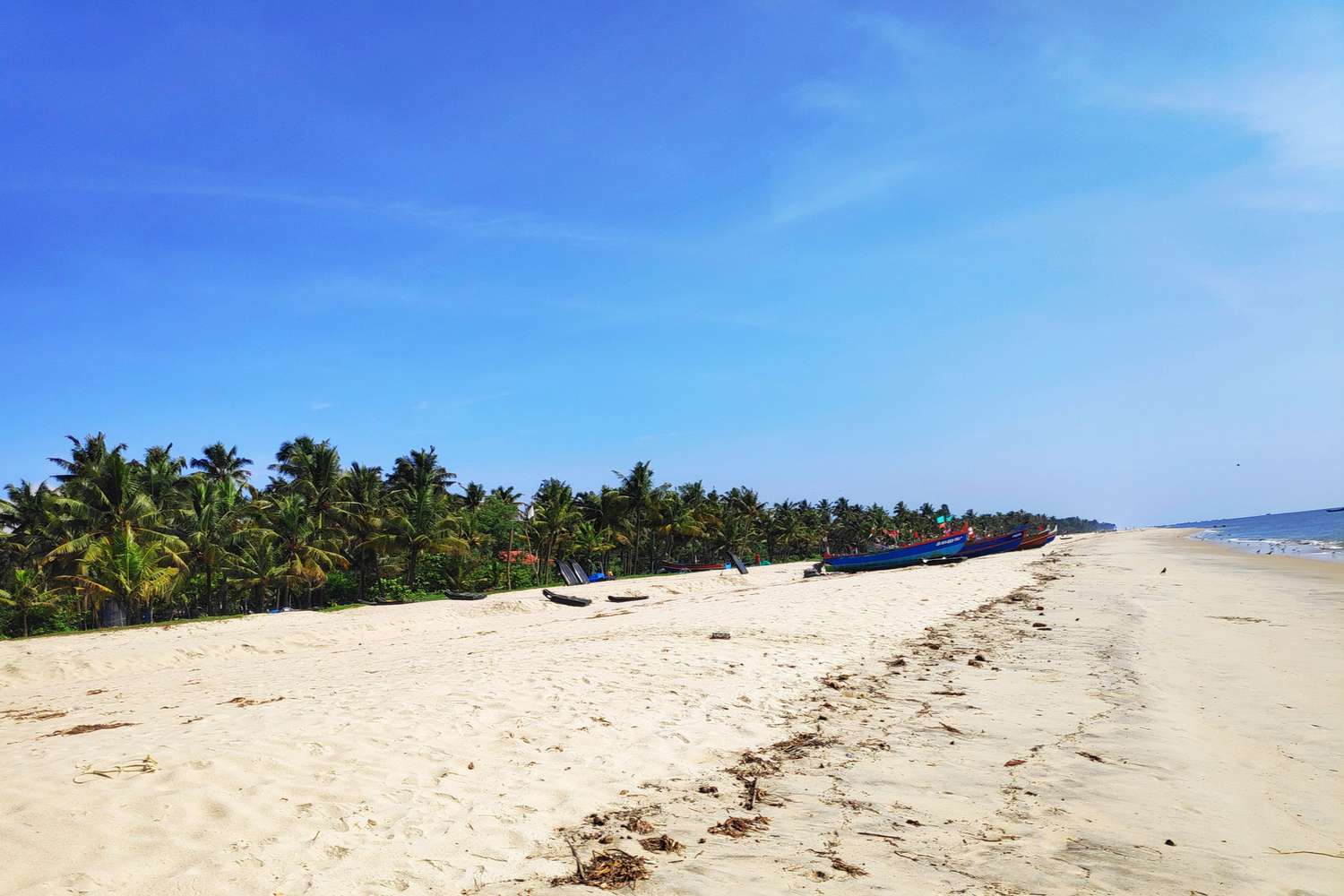 Marari Beach Alappuzha