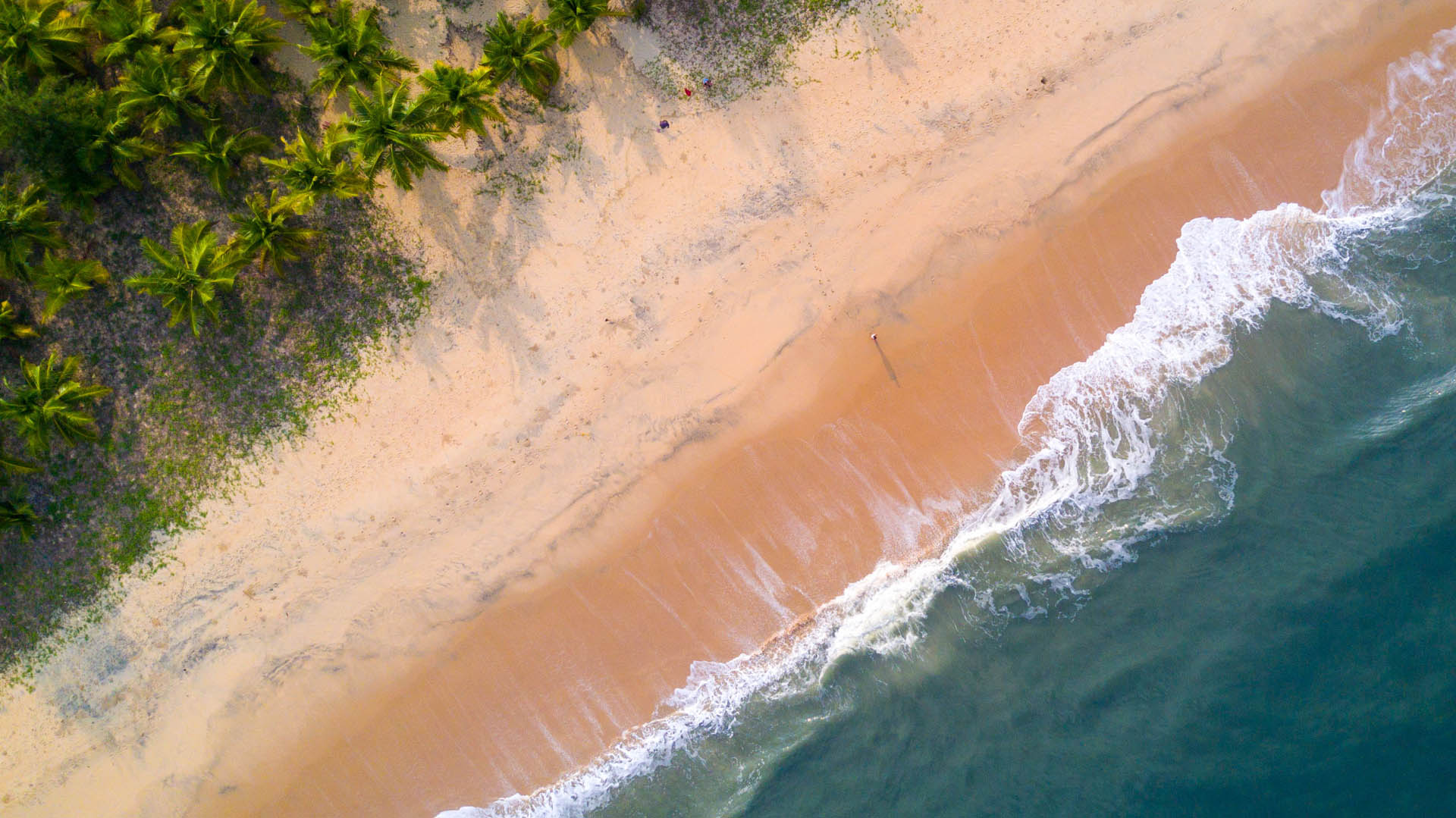 Marari Beach Alappuzha Images