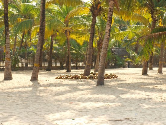 Marari Beach Alappuzha Entry Details
