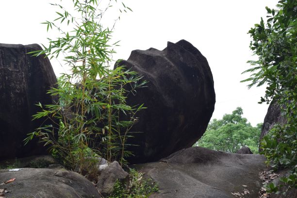 Pandavan Rock Alappuzha activities