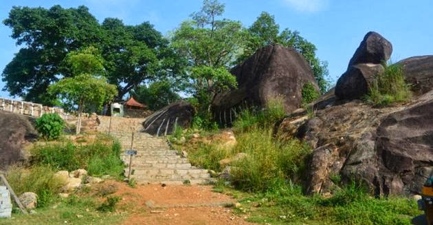 Attractions and Activities in Alappuzha