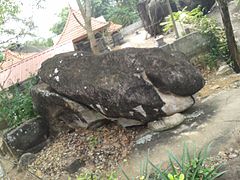 images of Alappuzha