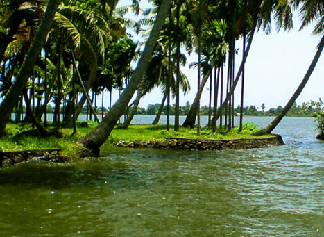 Pathiramanal Island Alappuzha activities