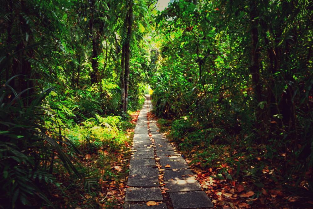 Pathiramanal Island Alappuzha