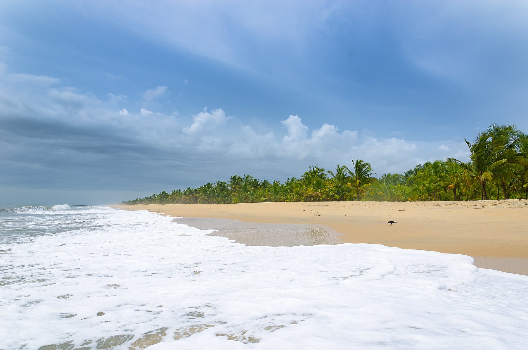 Popular destination in Alappuzha