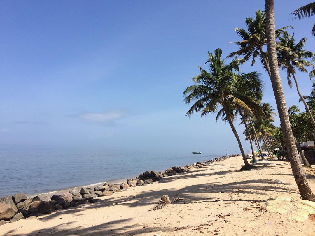 Punnapra Beach Alappuzha
 activities