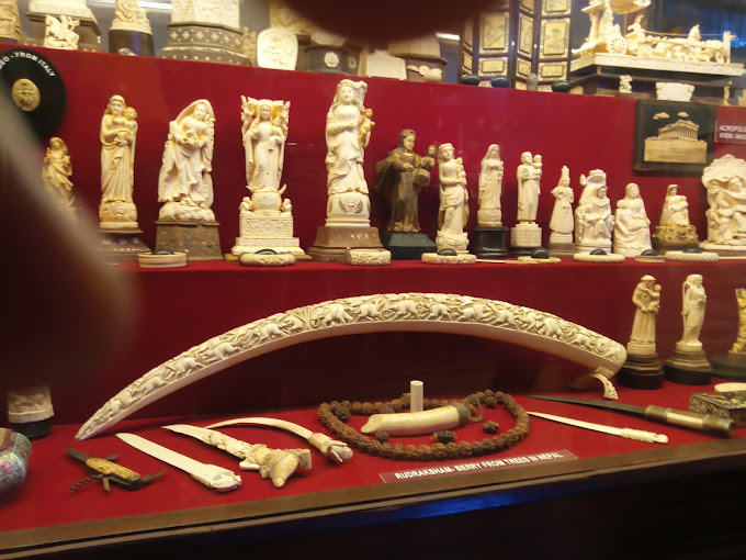 Attractions and Activities in Alappuzha