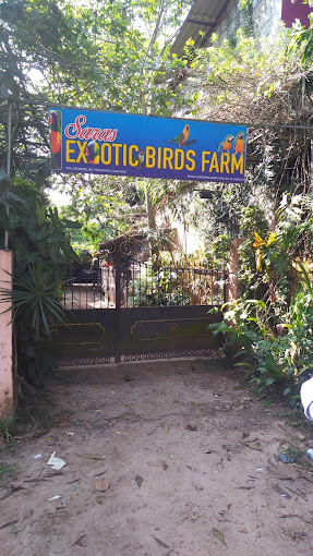 Saras Exotic Birds Center Alappuzha