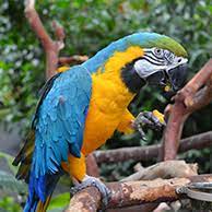 Attractions and Activities in Alappuzha